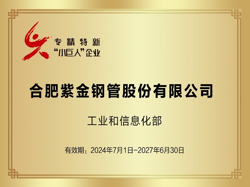 专精特新小巨人