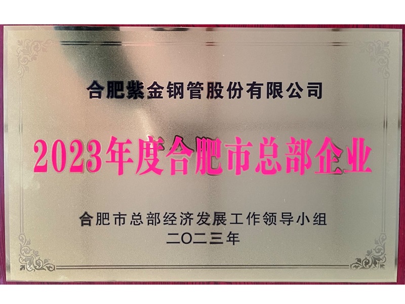 喜报！公司被认定为合肥市首批总部企业！