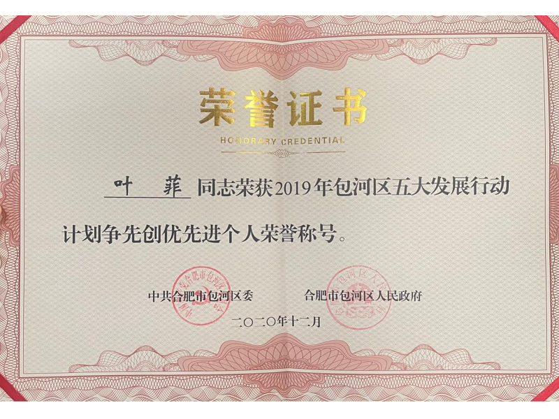 叶菲副总经理被评为包河区五大发展行动计划争先创优先进个人