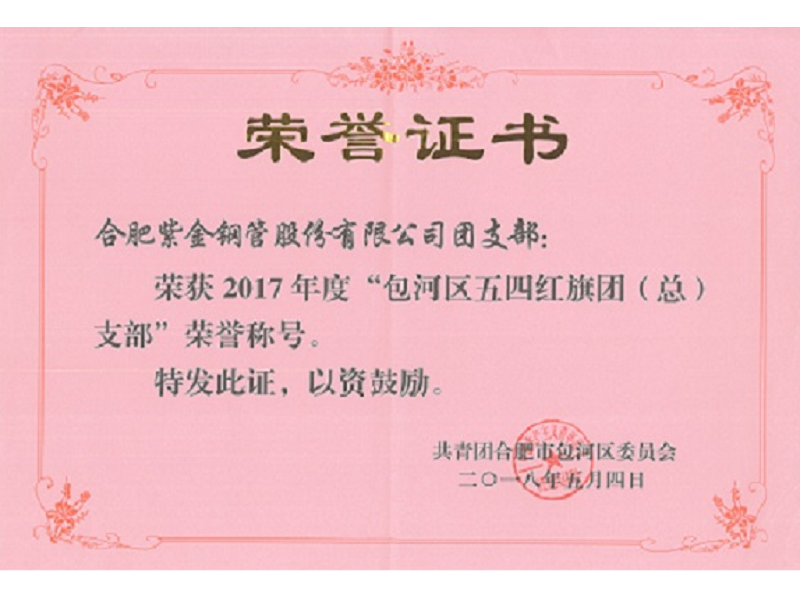 公司团支部荣获2017年度“包河区五四红旗团支部”荣誉称号