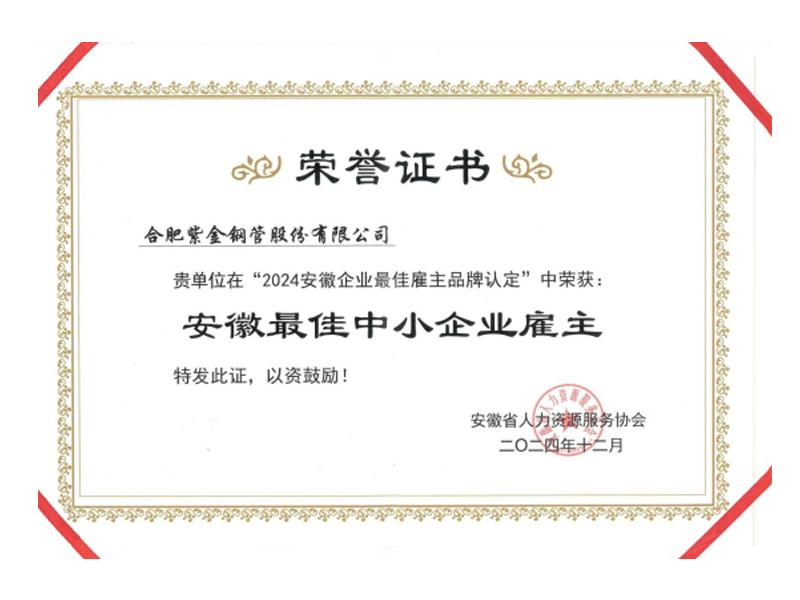 公司荣获安徽最佳中小企业雇主称号