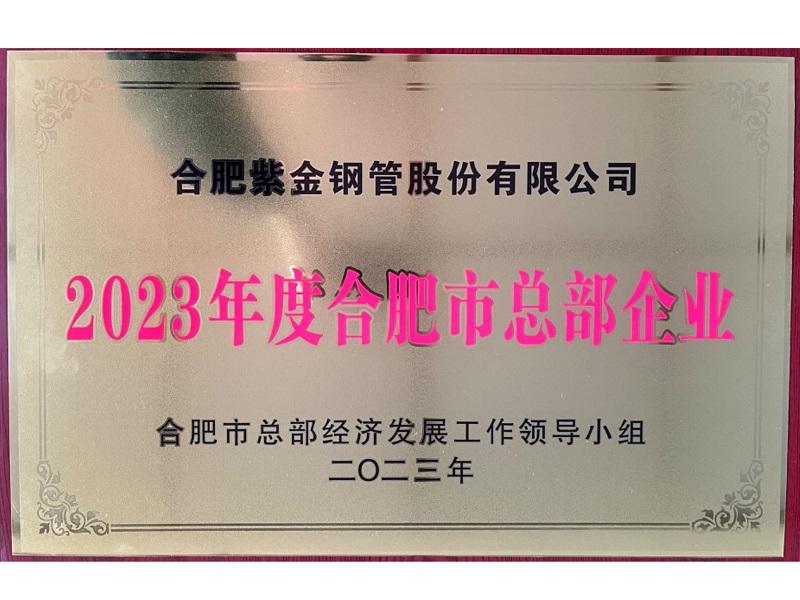 Good news! Ziking is Listed in the First Batch of Headquarters Enterprises in Hefei City!